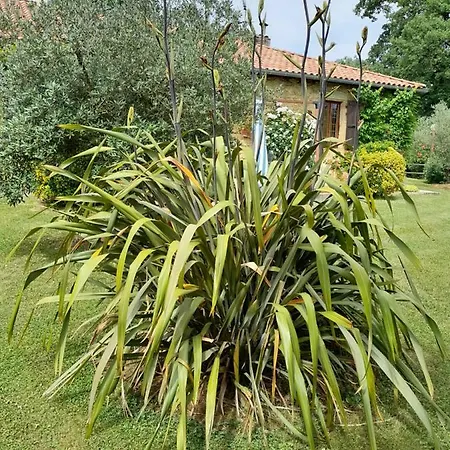 Maison Typique Gasconne * Ornezan